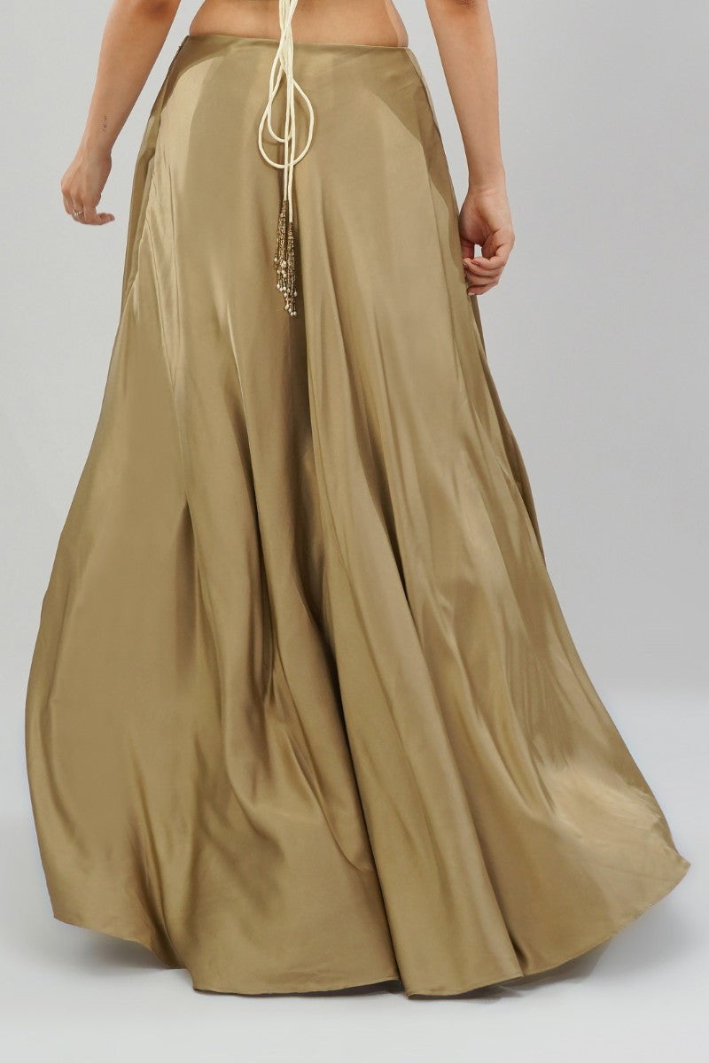 Plain Flare Lehenga Full Length Peerless Gold